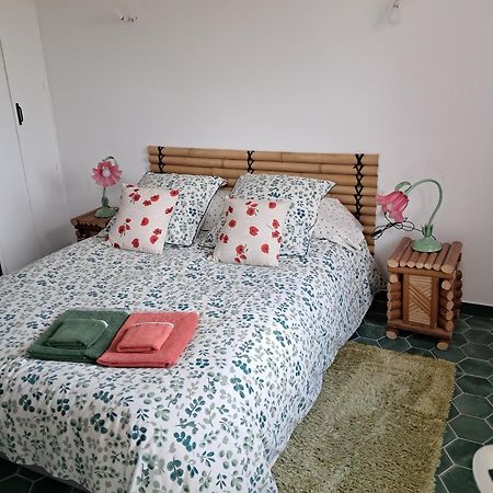 Gentil Coquelicot Apartment Mirepoix  Bagian luar foto