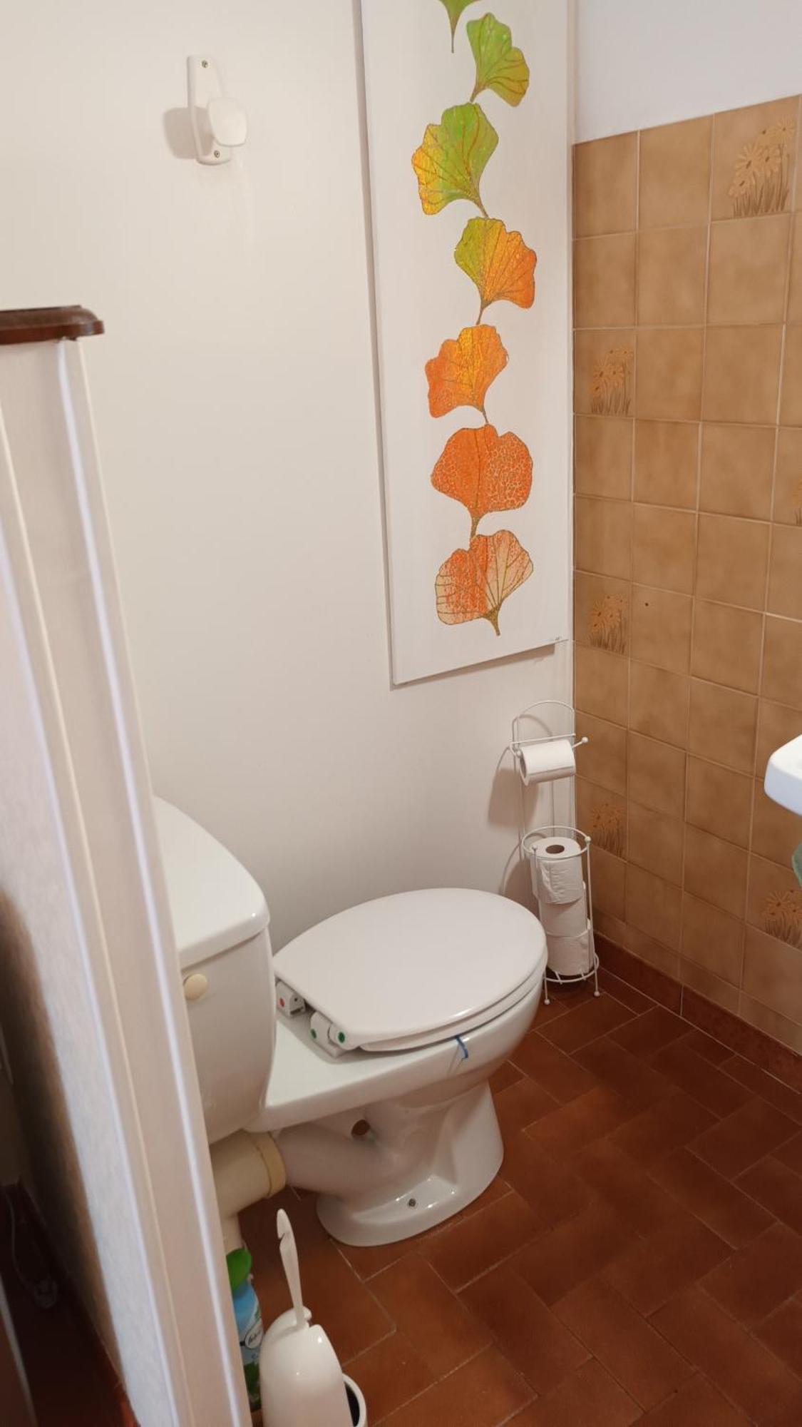 Gentil Coquelicot Apartment Mirepoix  Bagian luar foto